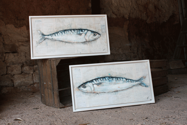 Cornish Mackerel
