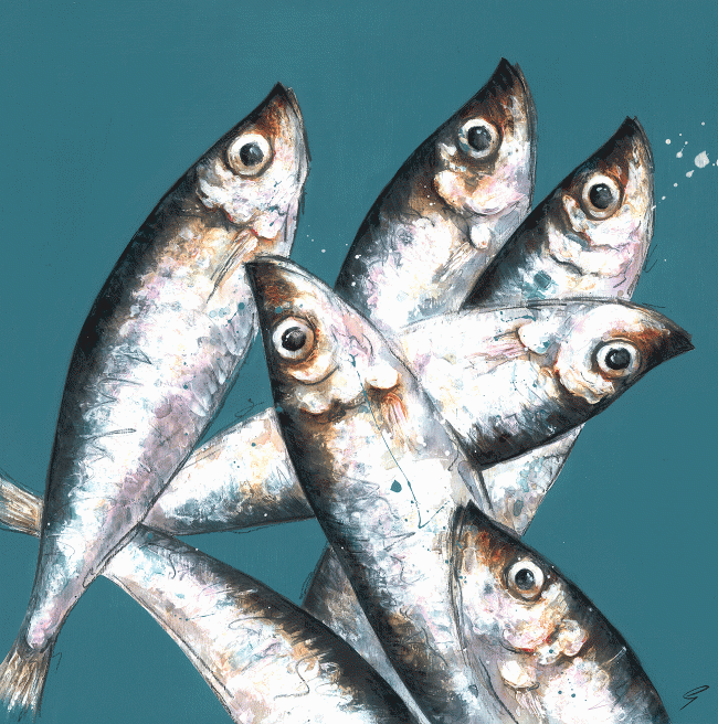 The Catch