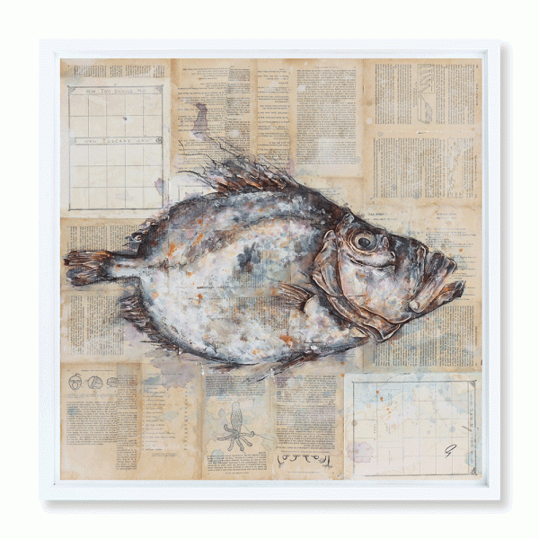 'John Dory'