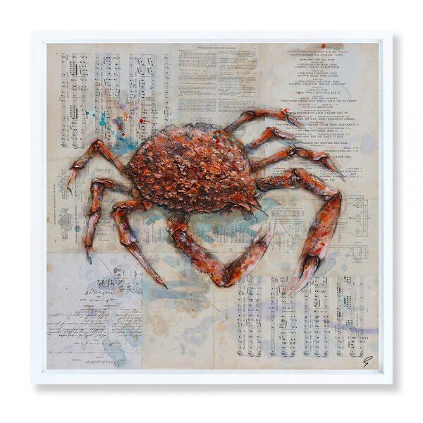 'South Coast Spider Crab'