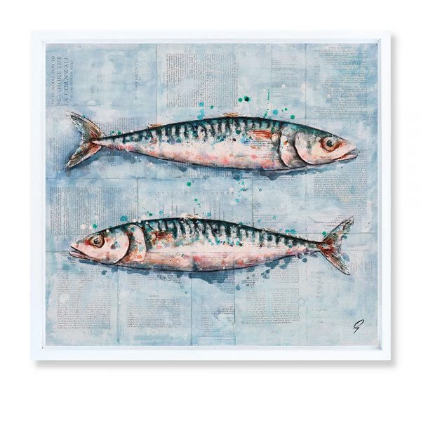 'Sea Shore Life In Cornwall'