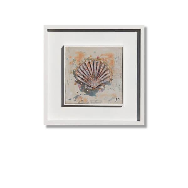 'A Single Scallop Shell'