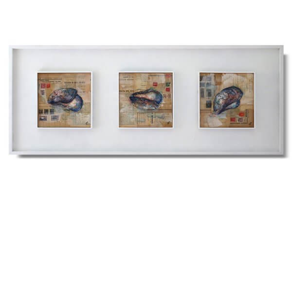 'Three Mussel Shells'