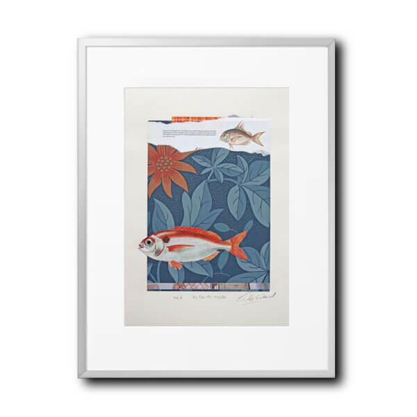 Fish Collage No.3 (As Far As Angola)