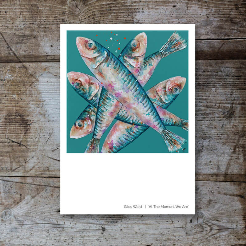 NEW Postcards (Pack of 6) - Image 2