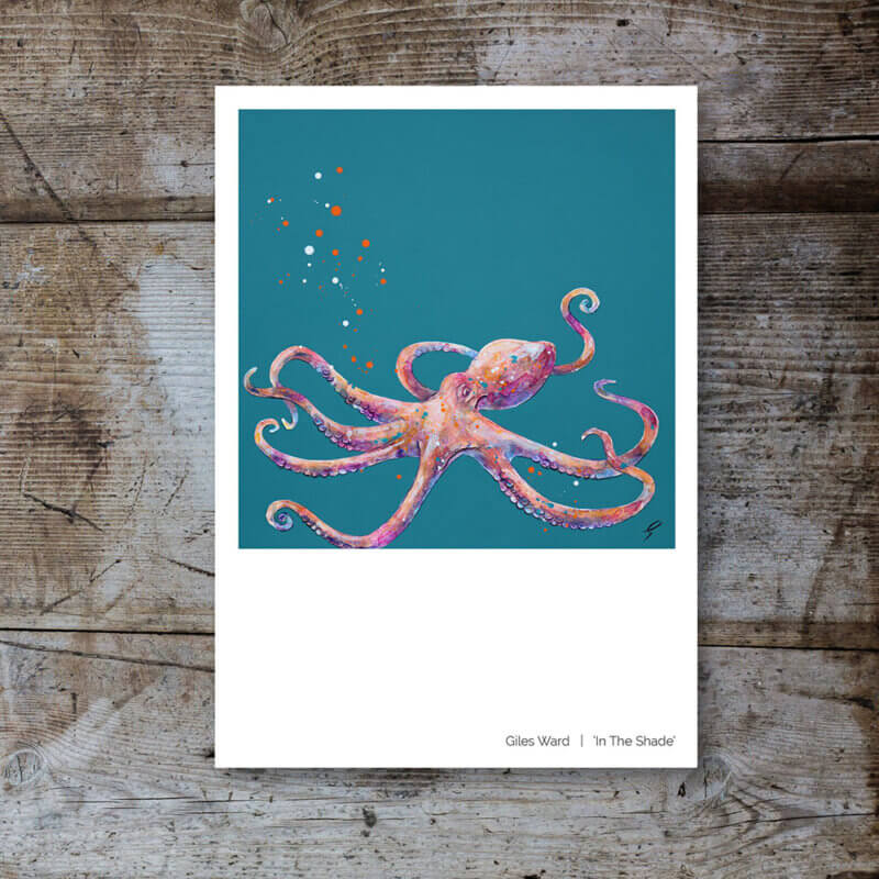 NEW Postcards (Pack of 6) - Image 4