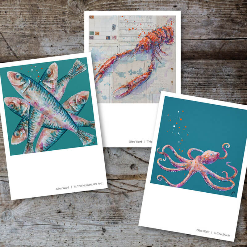 NEW Postcards (Pack of 6)
